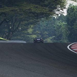 Deep Forest Raceway_14