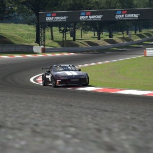 Deep Forest Raceway_18