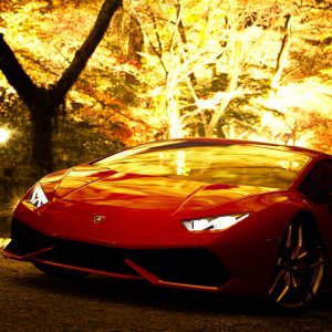 Huracan pic 2