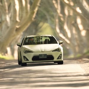 FRS Tree Tunnel