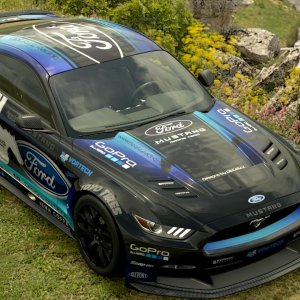 Ford racing team