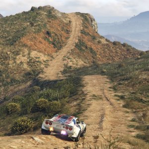 Grand Theft Auto V - The Great Rally Car Showdown