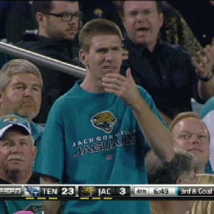 GIF) The incredulous Jaguars fan