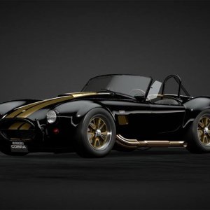 Black Cobra With Gold Chrome Stripes