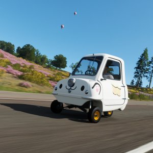 Peel P50