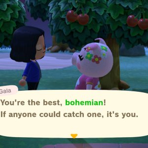 Sure, toots. You can count on Bohemian