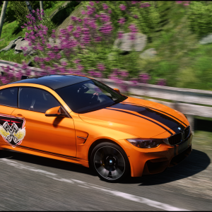 DRIVECLUB™ BMW M4