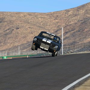 Willow Springs International Raceway_ Big Willow_3.jpg