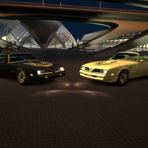 Trans Ams  Black and Gold.jpg