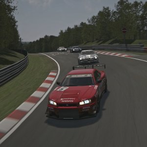 Nürburgring Nordschleife_4.jpg