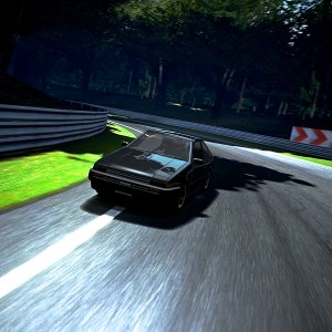 Deep Forest Raceway_5.jpg