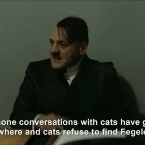 Hitler and why he hates cats