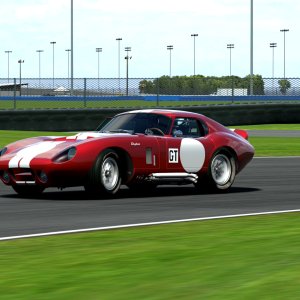 Daytona Cobra (14).jpg