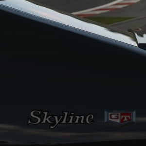 Nürburgring GP_F_8.jpg