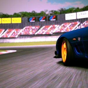 Deep Forest Raceway_7.jpg