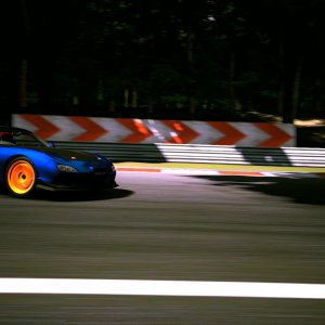 Deep Forest Raceway_19.jpg