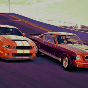 1965 GT350 Mustang @ The Esses_2.jpg