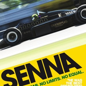 Senna 4.jpg