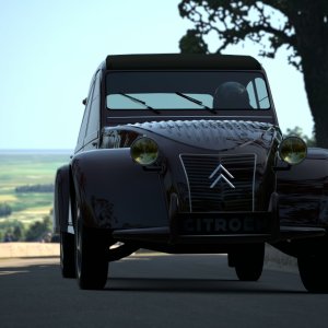 Goodwood Hillclimb 2CV 8.jpg