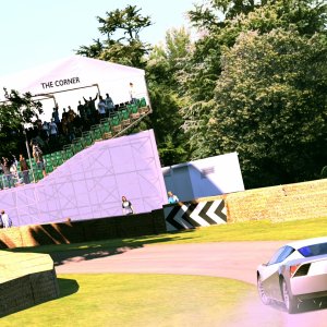 Goodwood Hillclimb_2.jpg