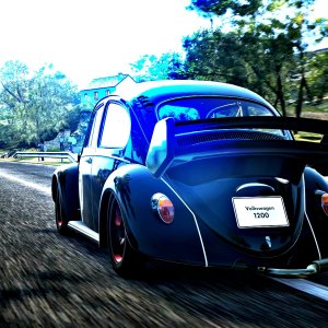 CdlSa#00-VWBeetle1-SG1.jpg