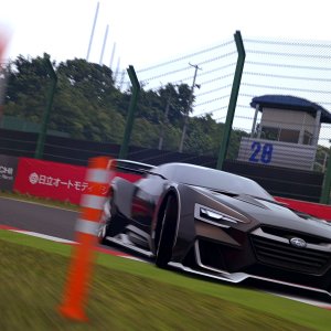 Suzuka Circuit 2014_4.jpg