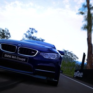 BMW M4 on Bathurst 2.jpg