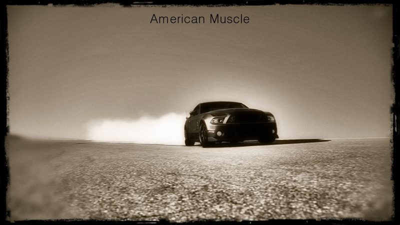 American Muscle.jpg