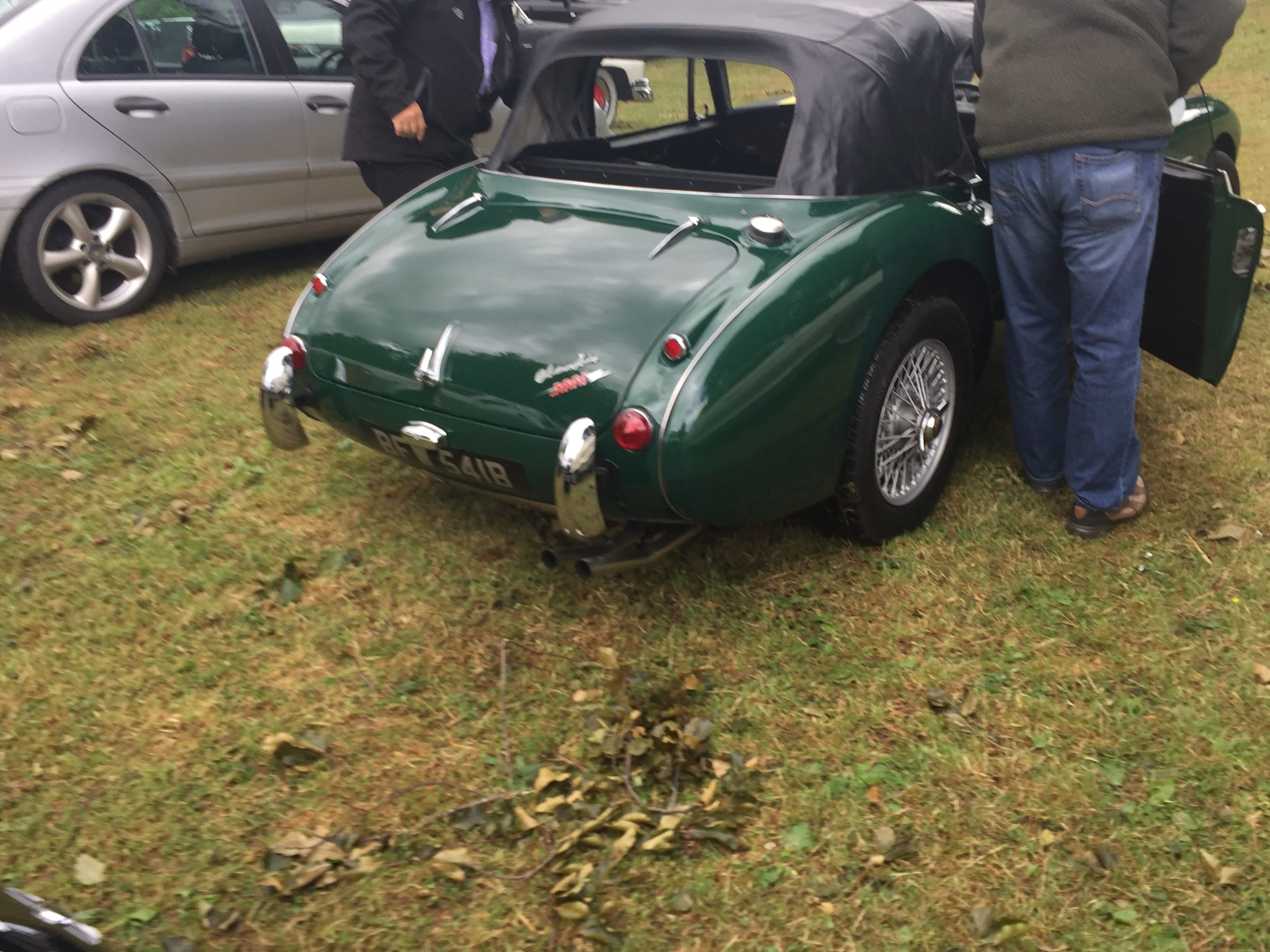 Austin-Healey 3000 Rear