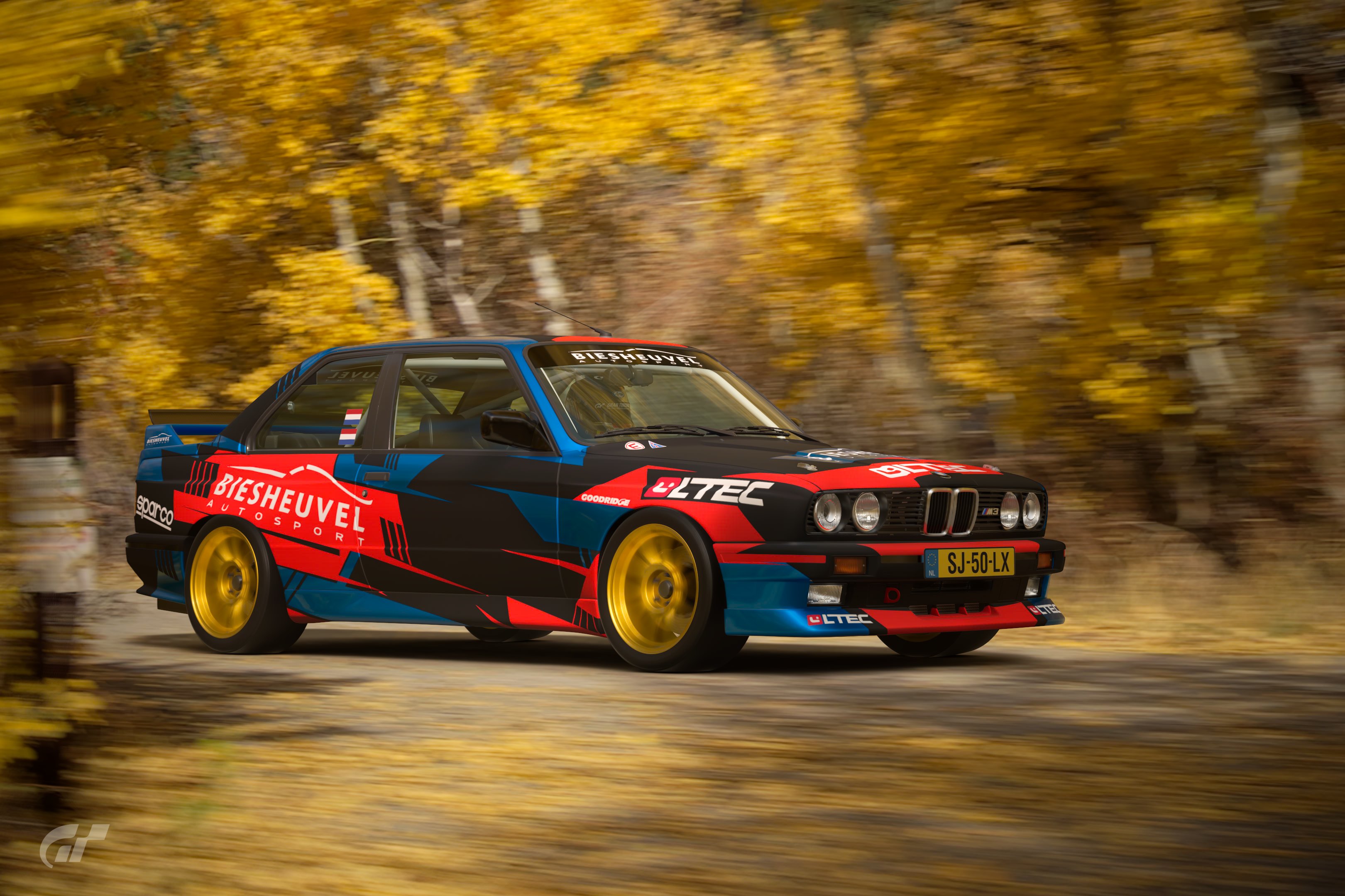 Biesheuvel rally M3