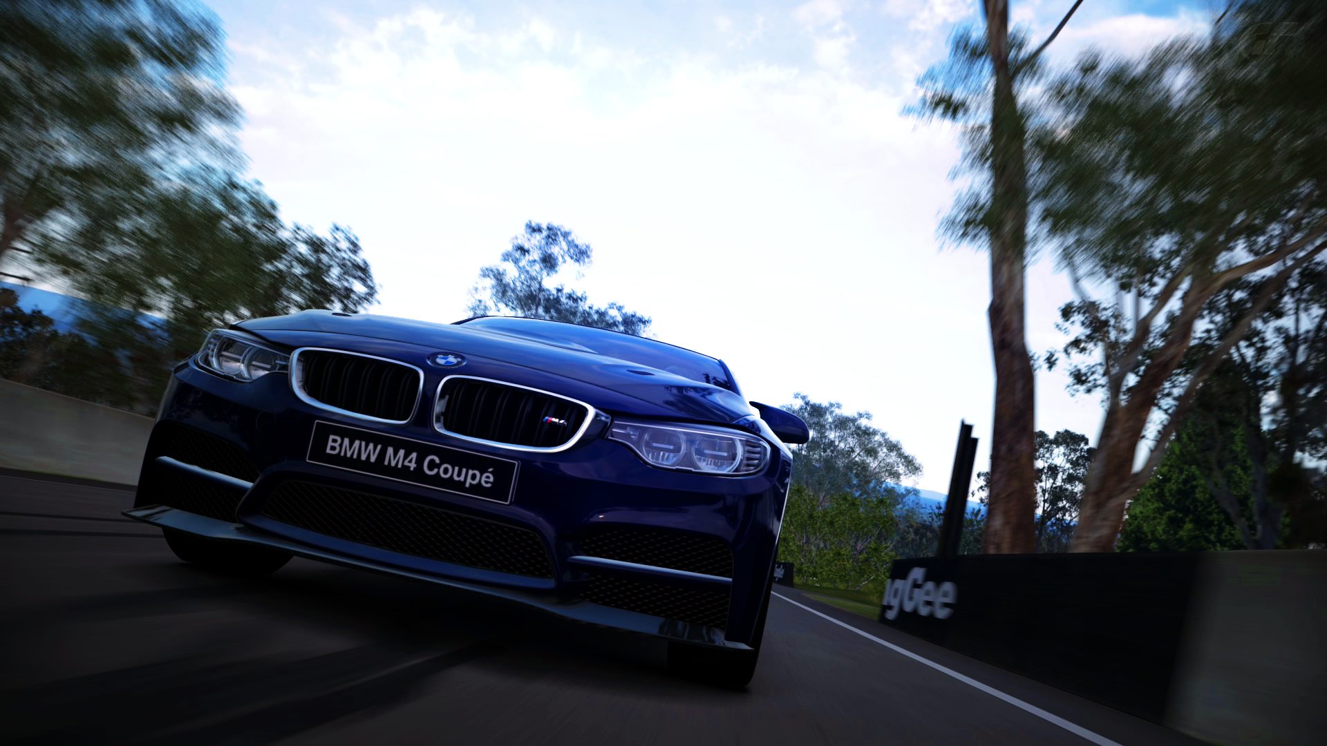 BMW M4 on Bathurst 2.jpg