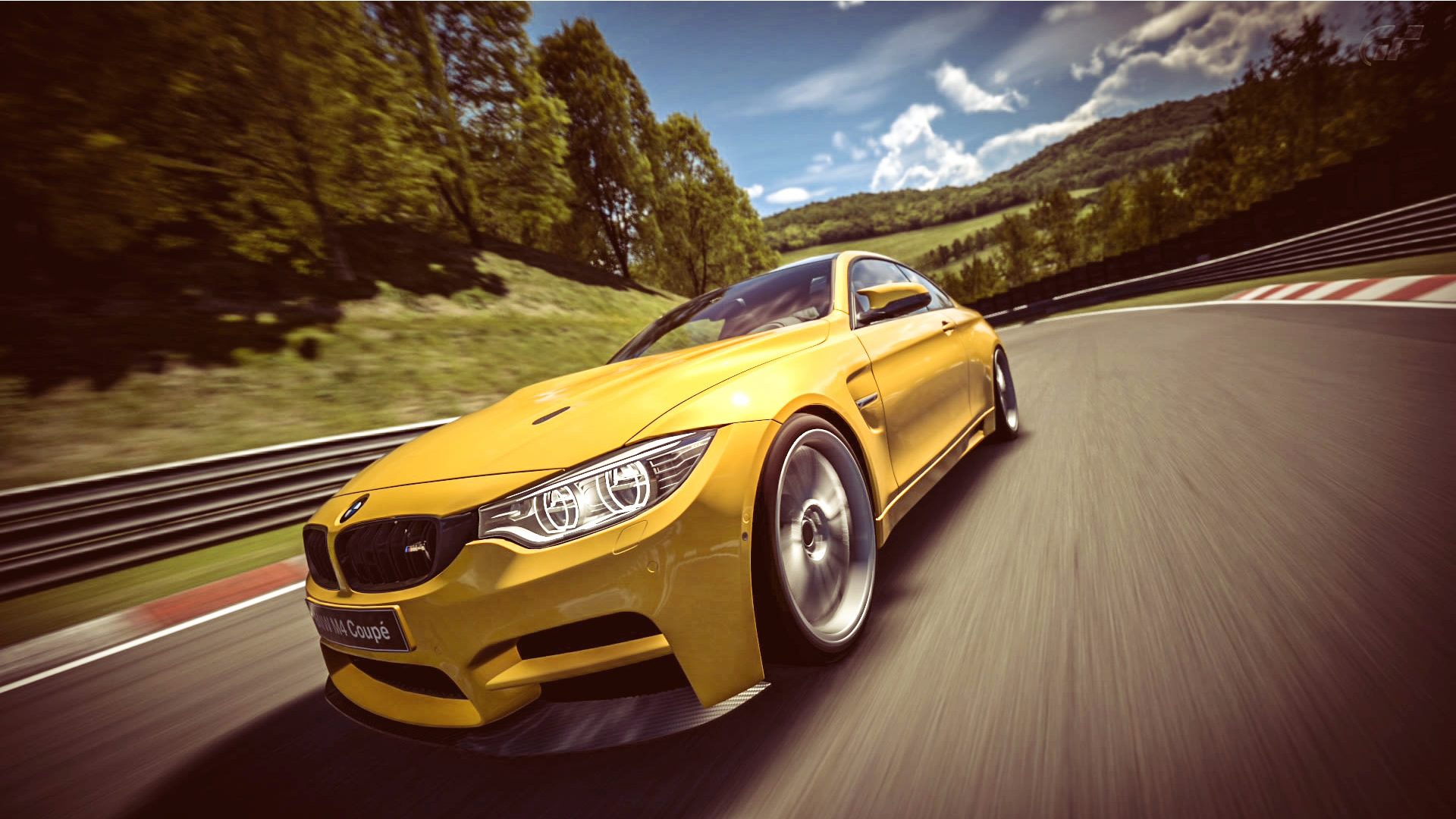 BMW_M4_Nurb_10.jpg