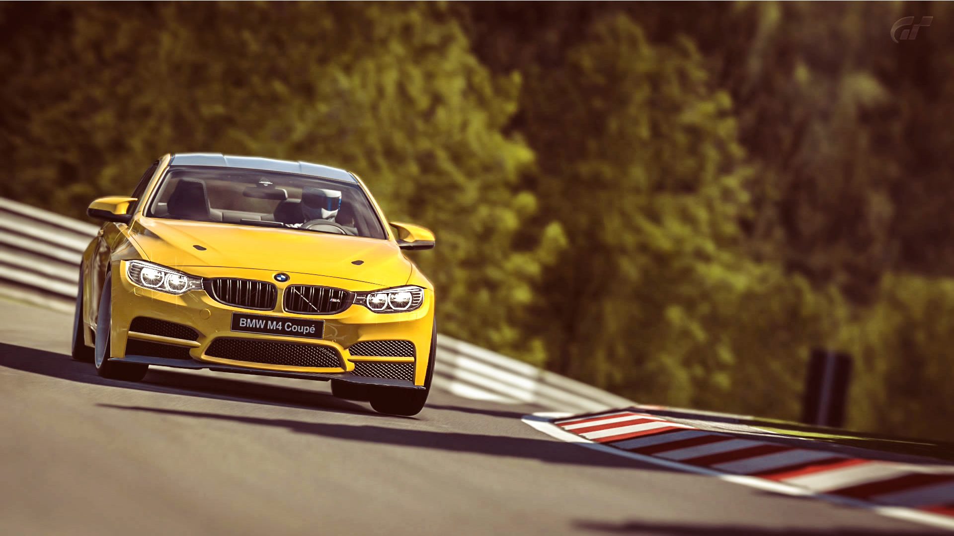 BMW_M4_Nurb_7.jpg