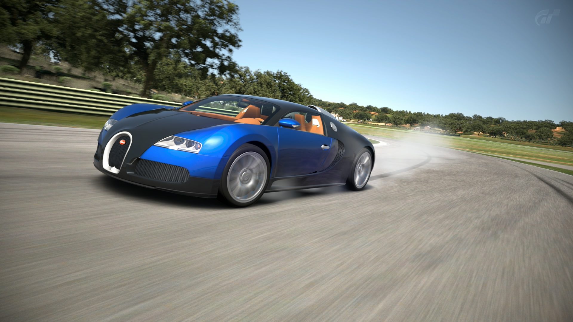 Bugatti-Veyron-16_4-2013-Ascari-0006.jpg