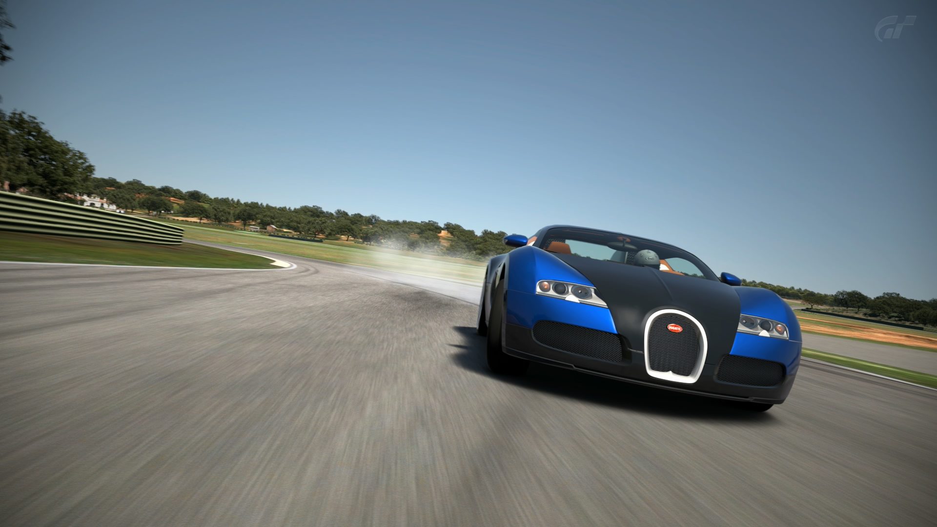 Bugatti-Veyron-16_4-2013-Ascari-0007.jpg