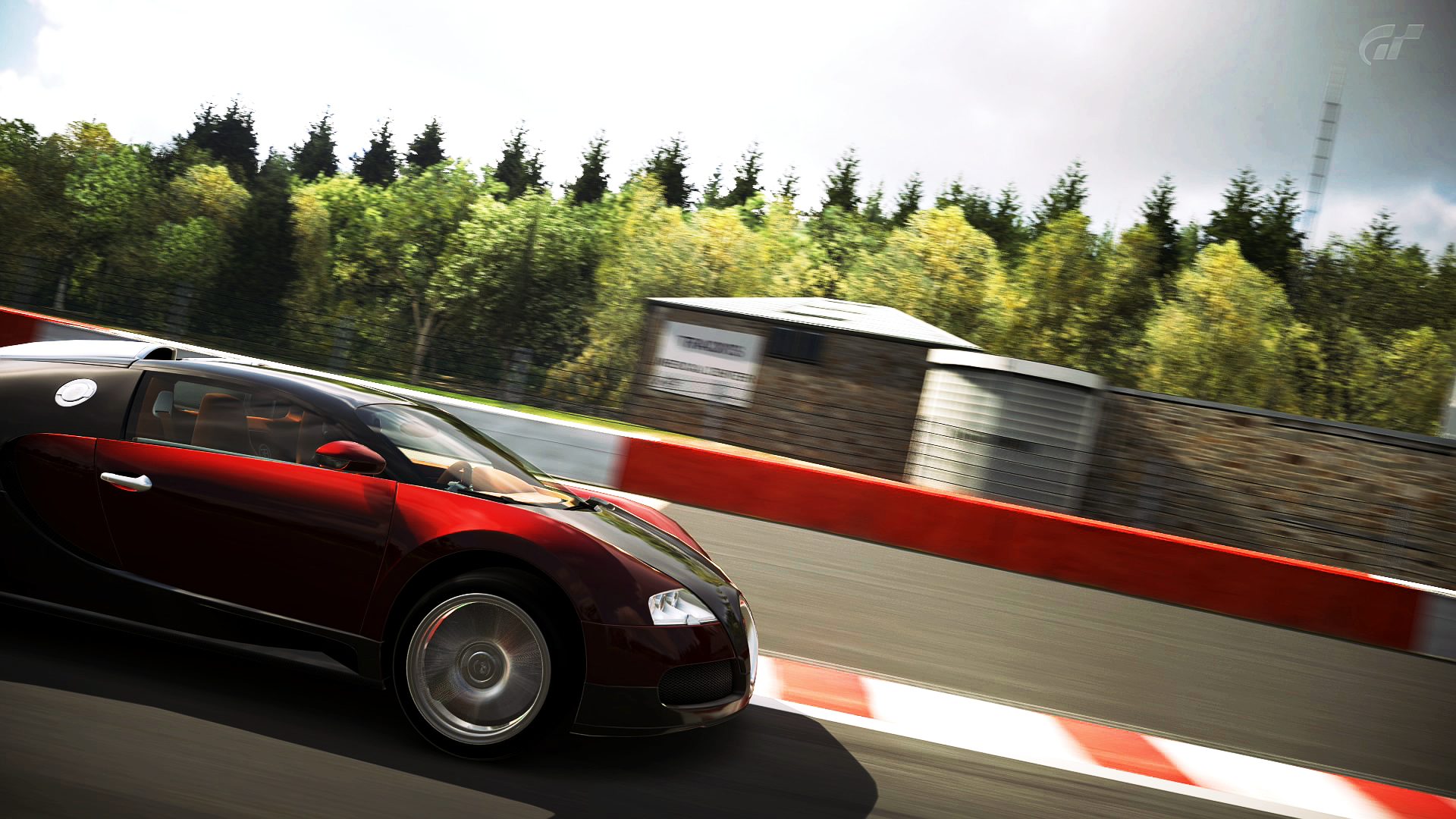 Bugatti Veyron on Spa_3.jpg