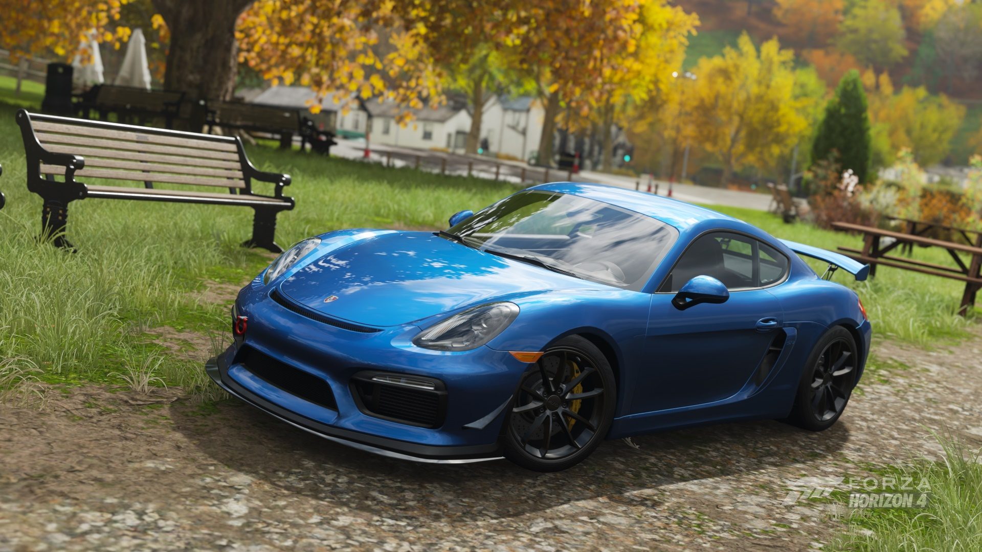 Cayman GT4