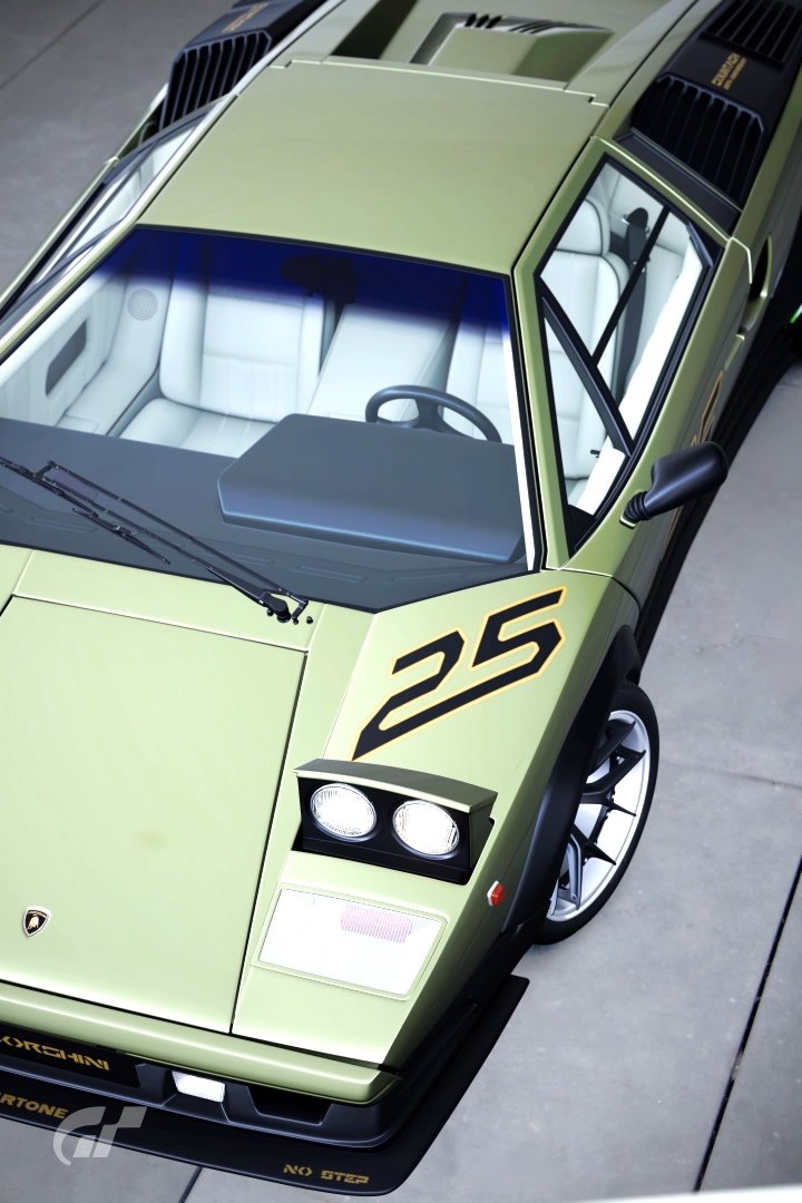 Countach No.25_roof