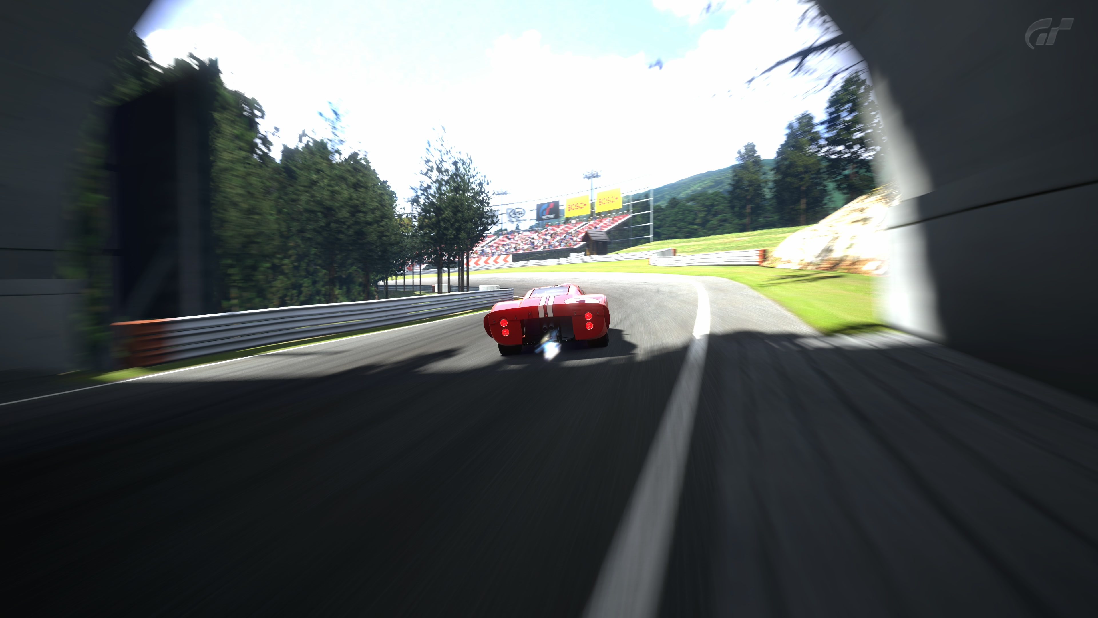 Deep Forest Raceway.jpg