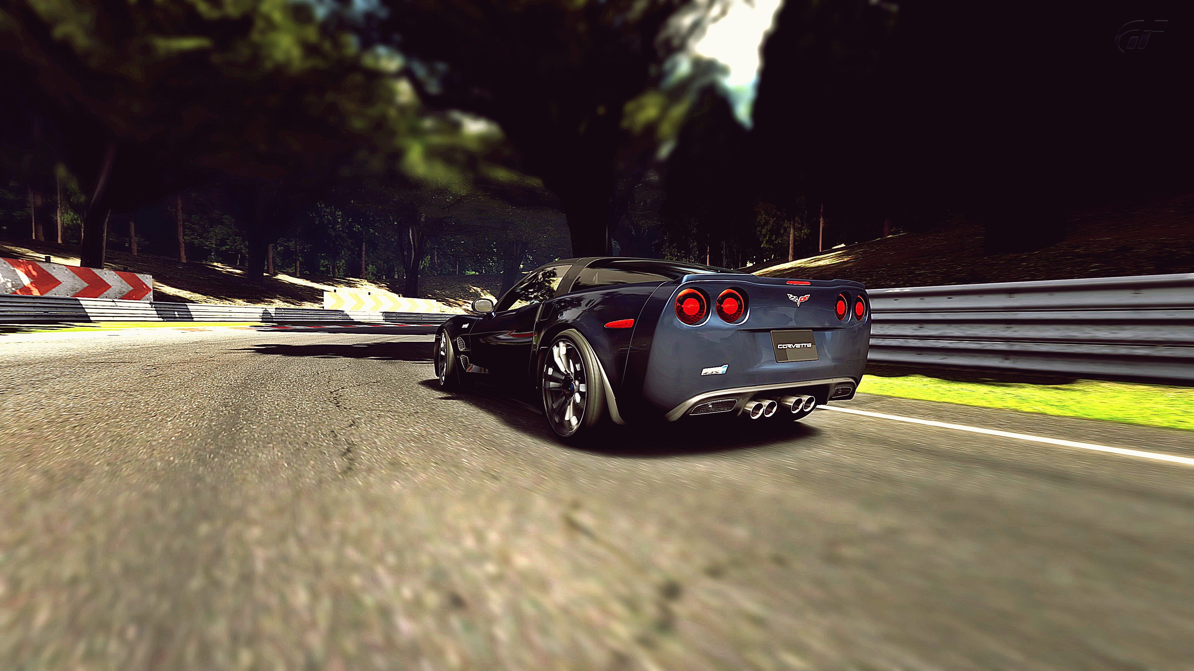 Deep Forest Raceway_1.jpg