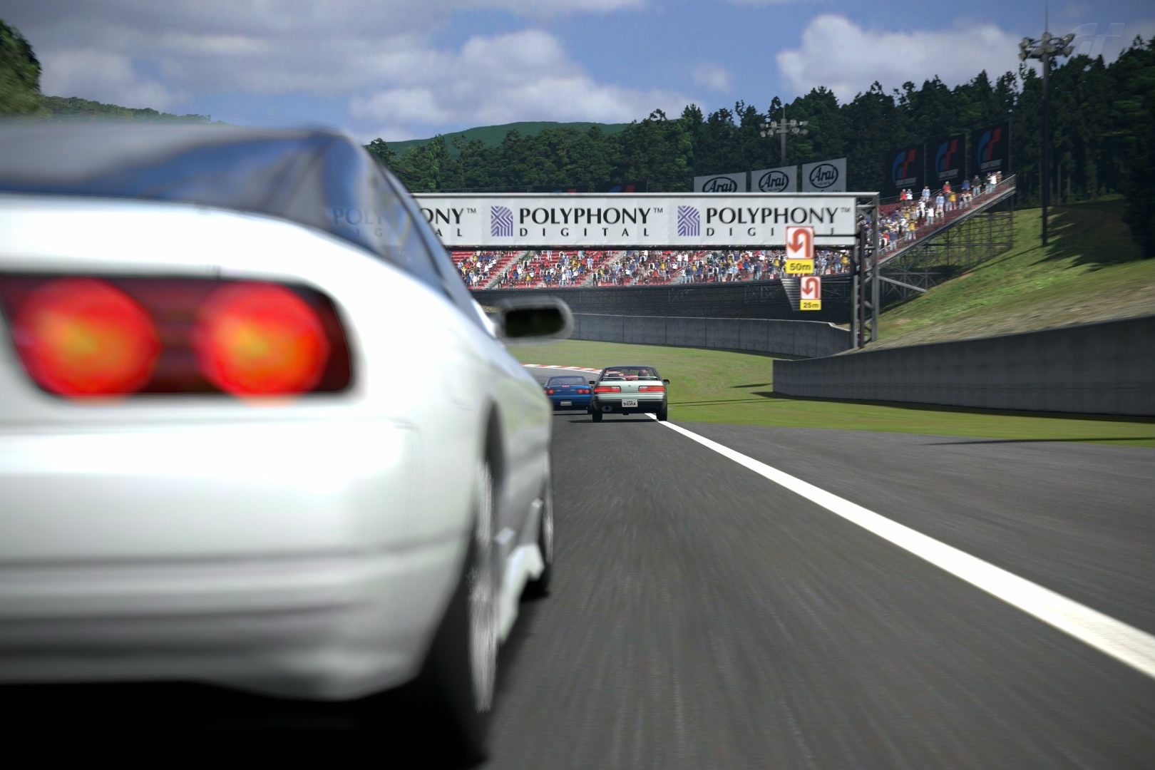 Deep Forest Raceway_11.jpg