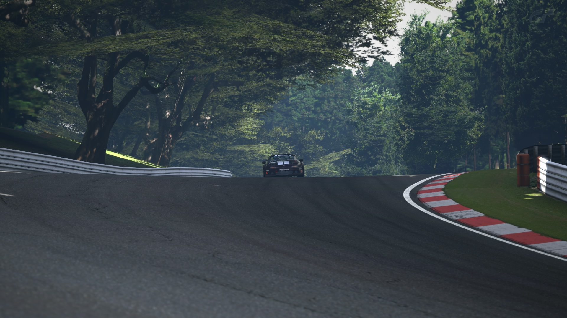 Deep Forest Raceway_14