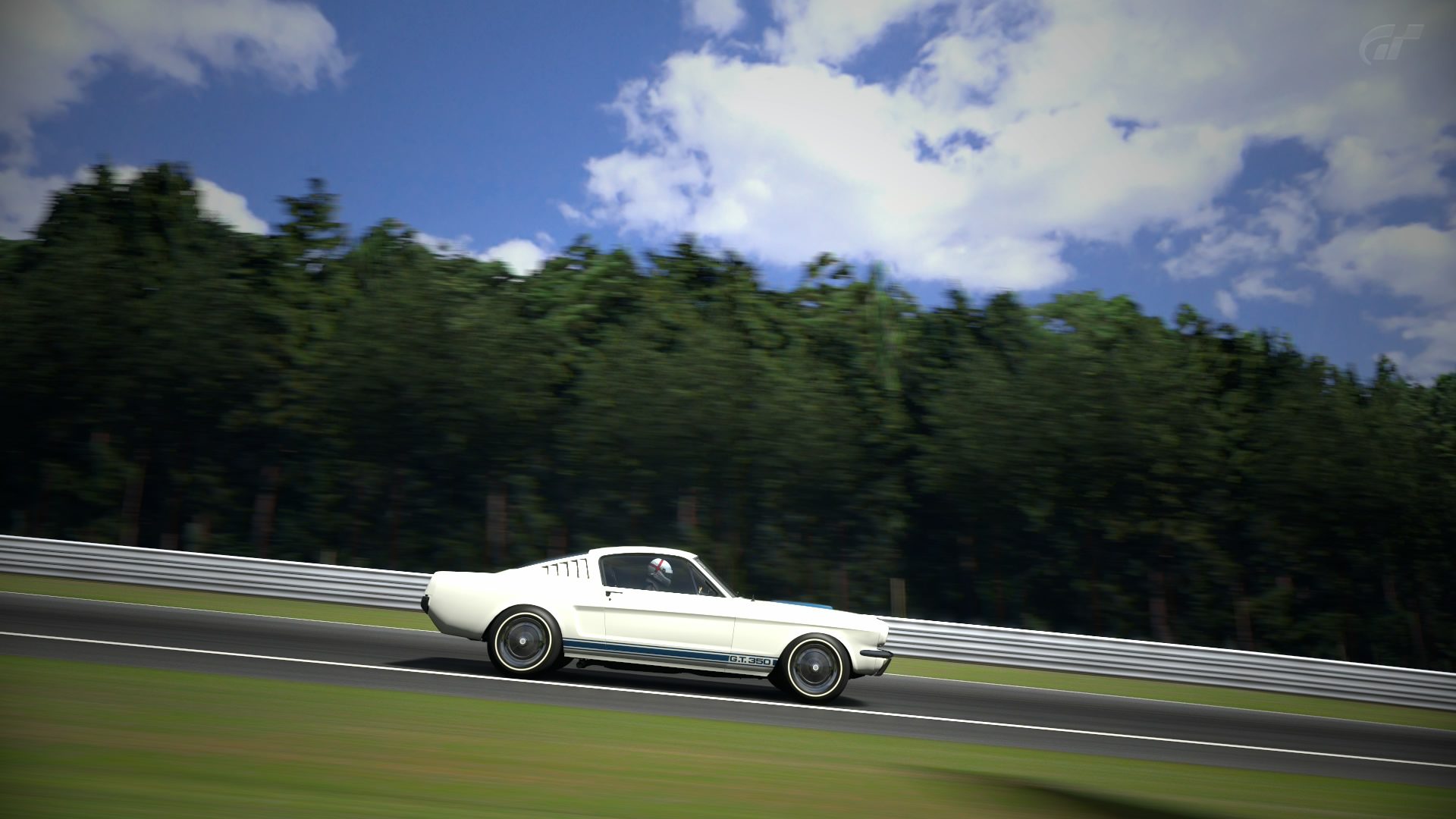 Deep Forest Raceway_15.jpg