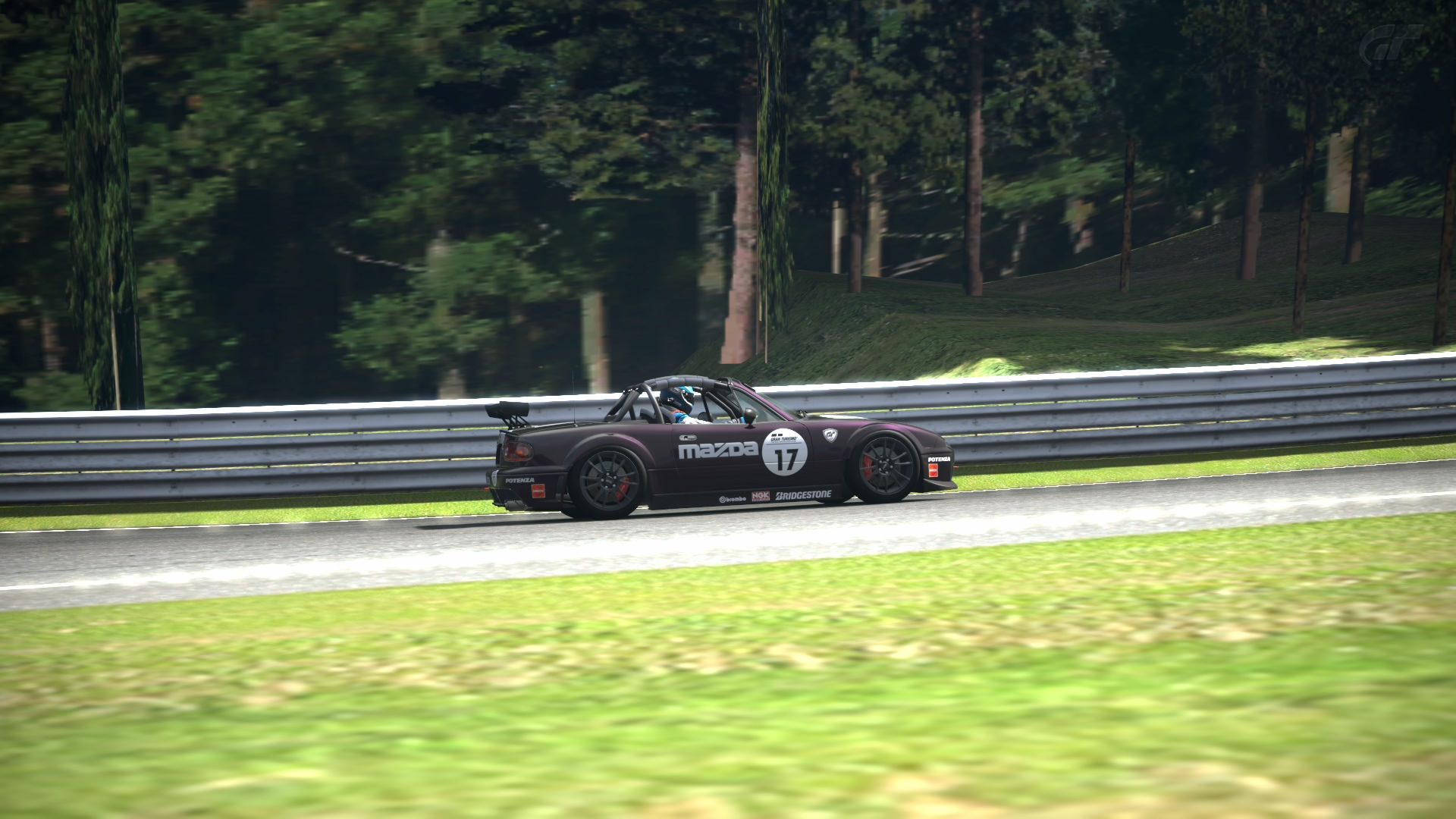 Deep Forest Raceway_16