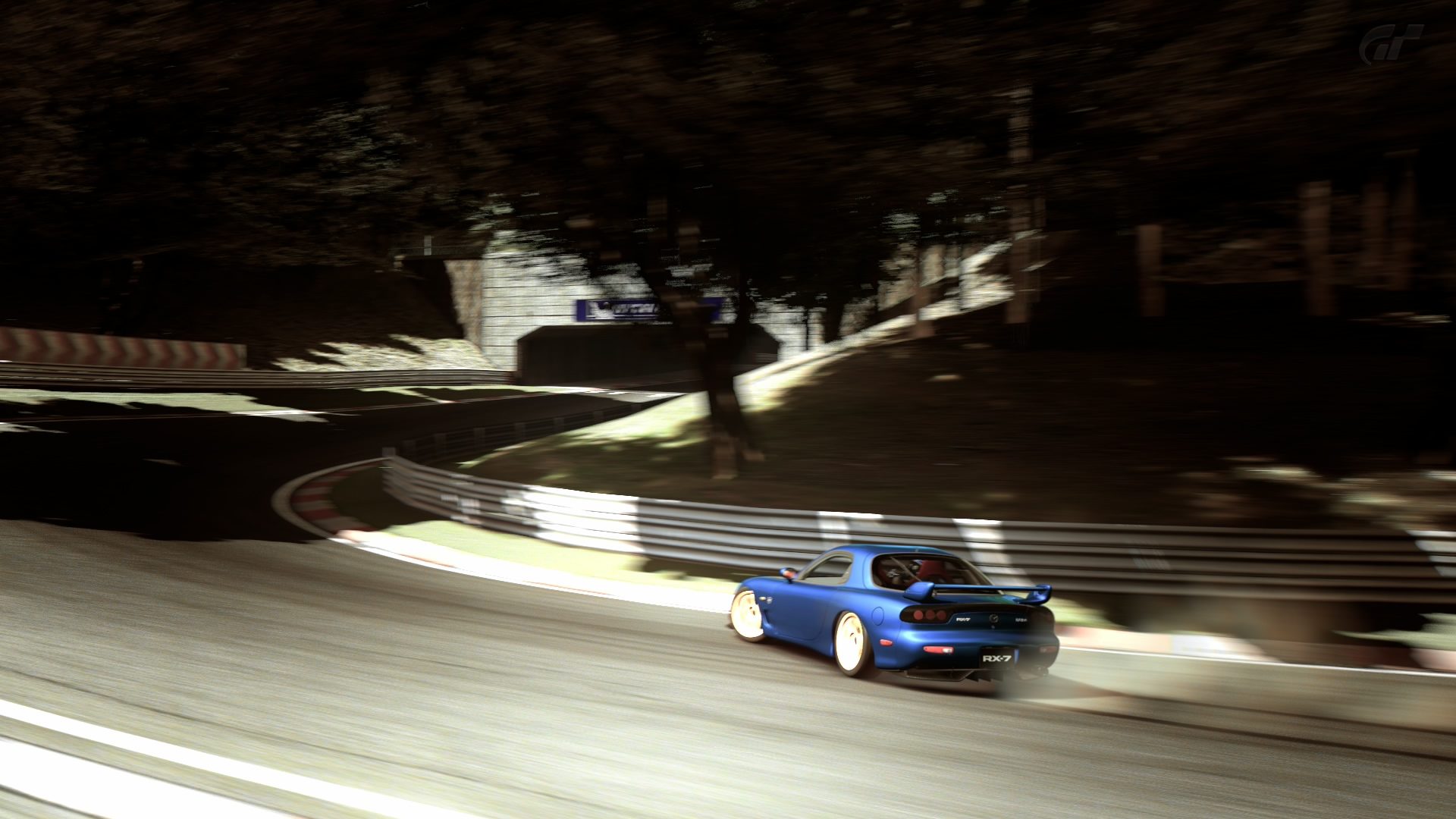 Deep Forest Raceway_18.jpg