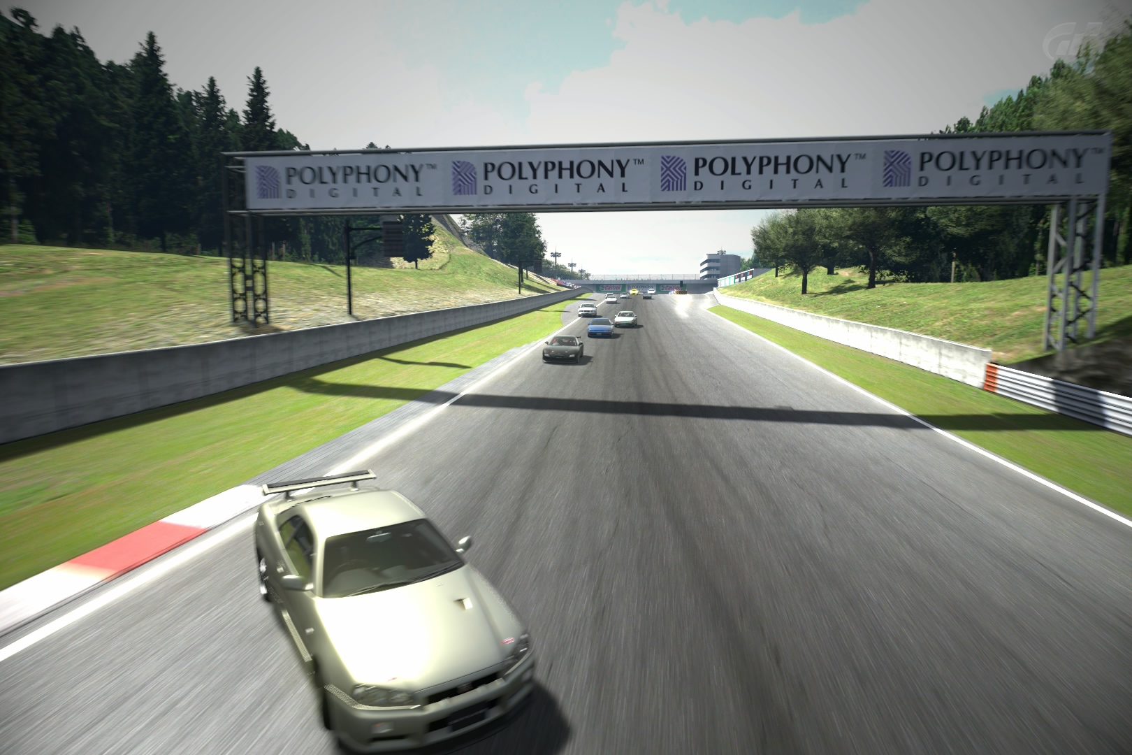 Deep Forest Raceway_2.jpg