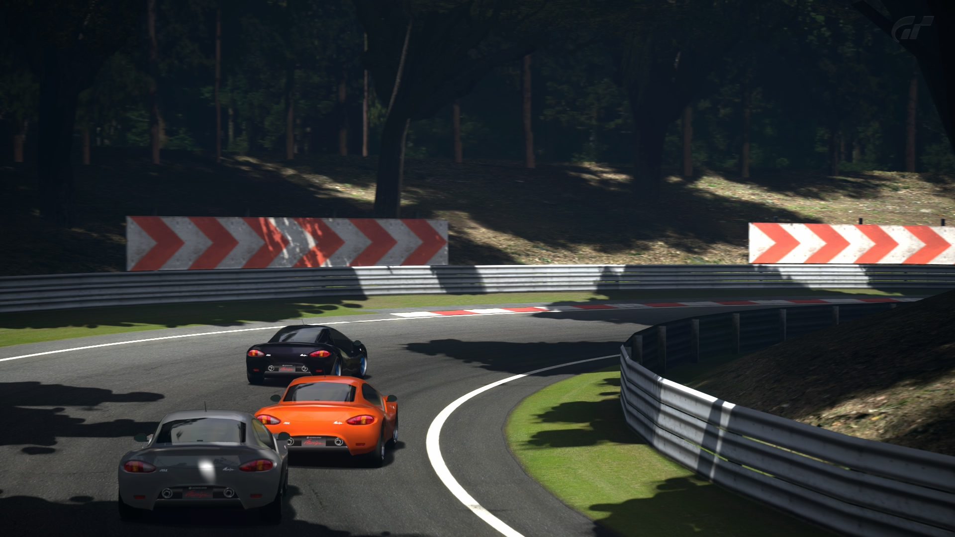 Deep Forest Raceway_44