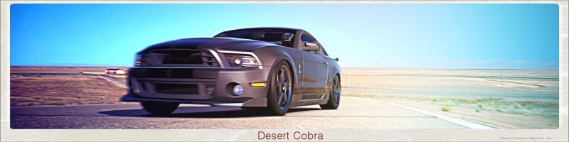 Desert Cobra.jpg