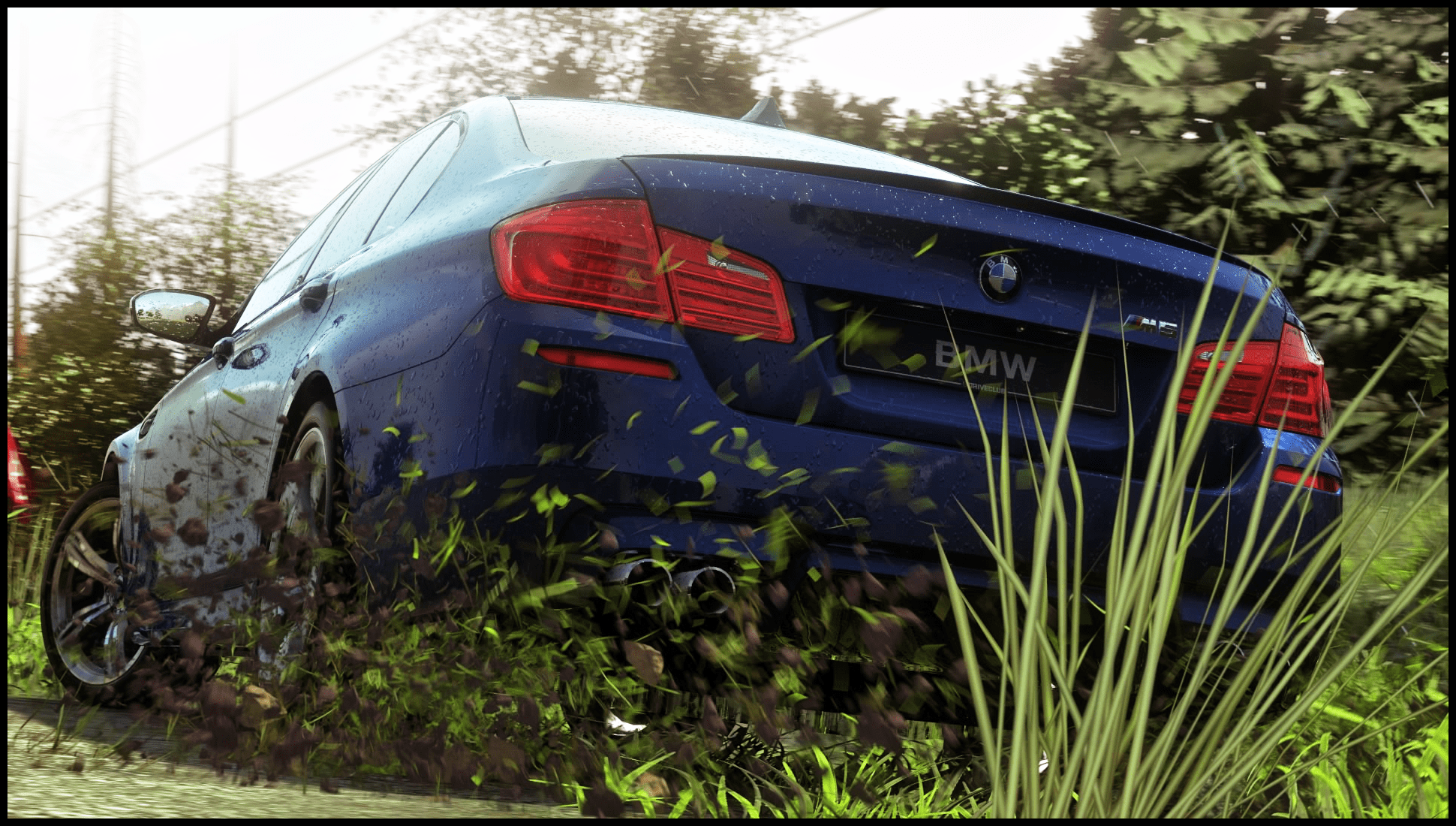 DRIVECLUB™ M5