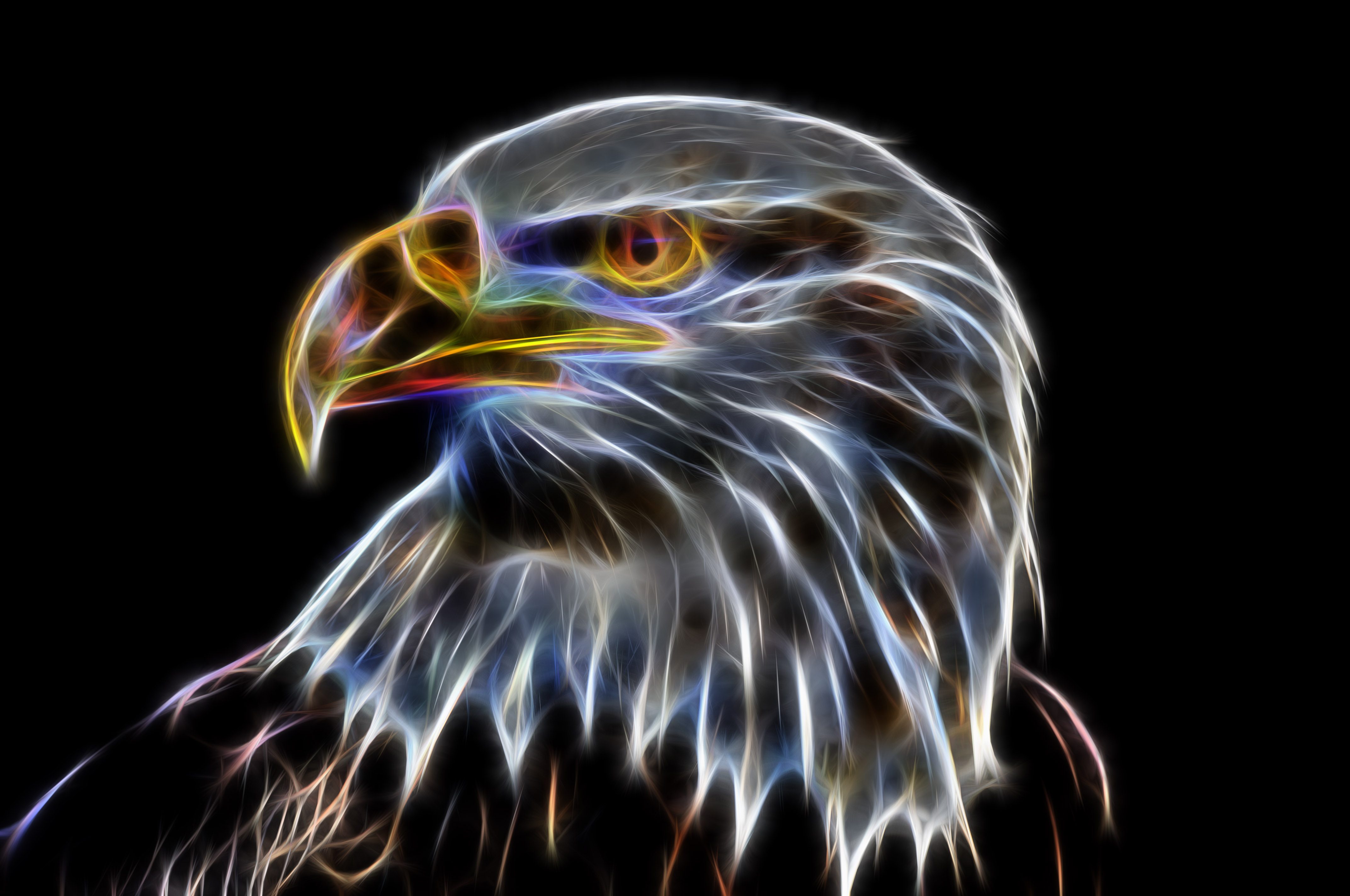 Eagle